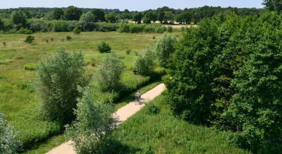 Fahrradfahrer fährt auf Radweg im Hasetal , © Dieter Schinner 