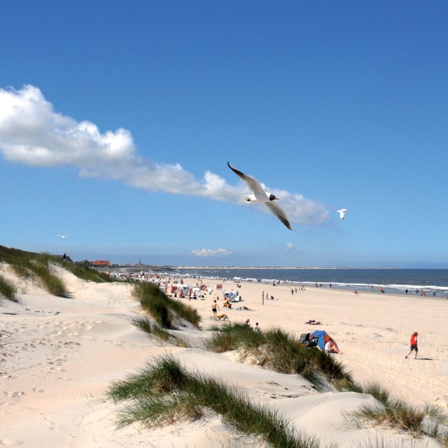 Baltrum-Strand, © Kurverwaltung Baltrum / Denis Metz