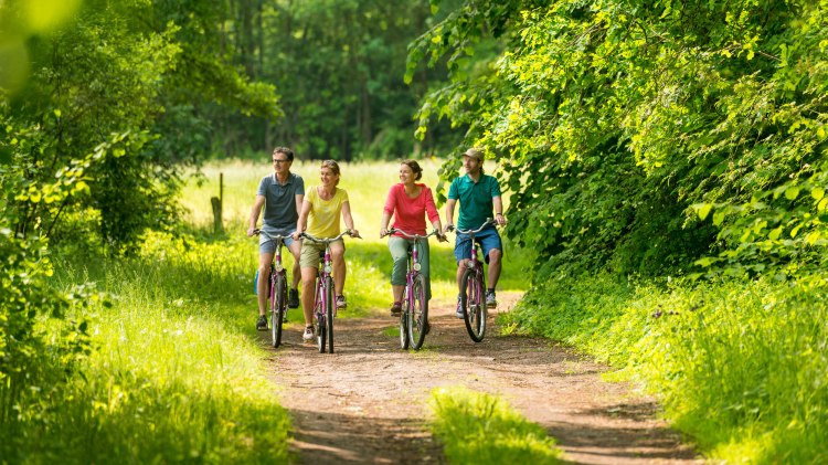 Blick auf vier Radfahrer auf Sandweg in der Heideregion Uelzen, © Lüneburger Heide GmbH/ Dominik Ketz