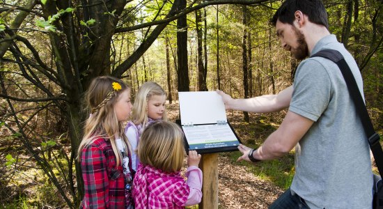 Studieren einer Tafel, © Internationaler Naturpark Bourtanger Moor - Bargerveen e.V.