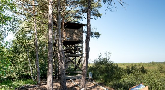 Aussichtsturm am Muswillensee, © Region Hannover / Thomas Langreder