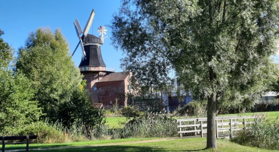 Bunder Park mit Bunder Mühle, © Gemeinde Bunde / Sandra Brandt