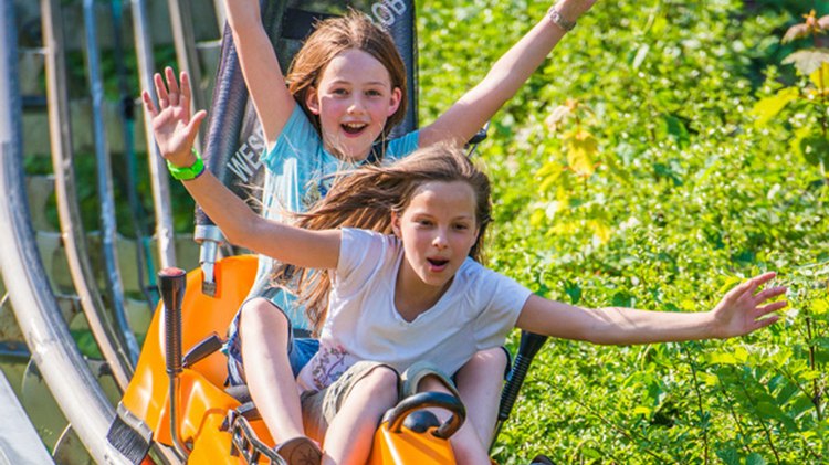 Rodeln auf der Sommerrodelbahn Bodenwerder, © TourismusMarketing Niedersachsen GmbH