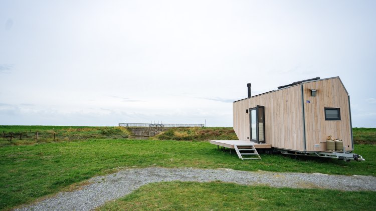 Tiny House bei Harlesiel, © TourismusMarketing Niedersachsen GmbH