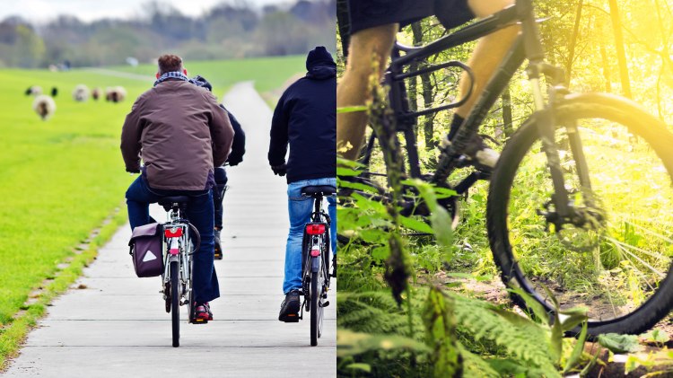 In die Pedale treten oder über Stock und Stein wandern?, © Fotolia.com