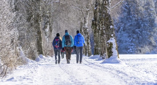 Winterwandern, © Fotolia / Valery Smirnov