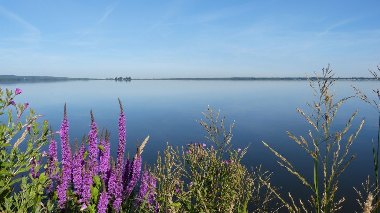 Blick aufs Steinhuder Meer, © Steinhuder Meer Tourismus GmbH / Christine Kölling