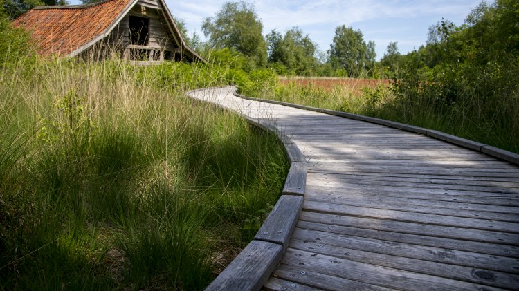 Emsland Moormuseum bei Groß Hesepe, © TMN / Sabine Braun