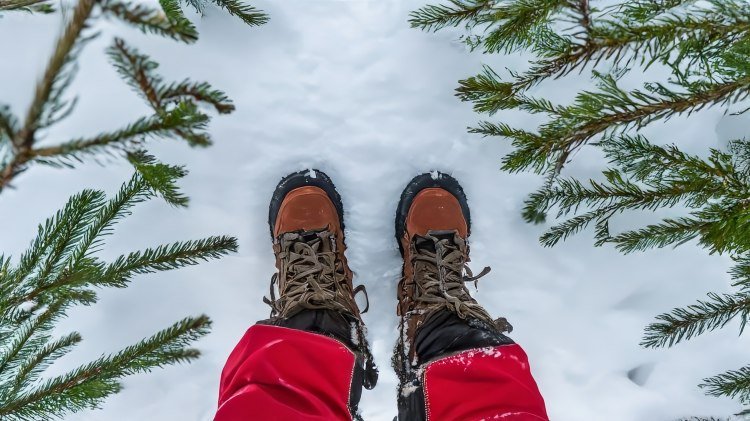 Wanderreihe Klima, Natur und Landschaft – Der Winter, © Hann. Münden Marketing GmbH, Martin Creuels