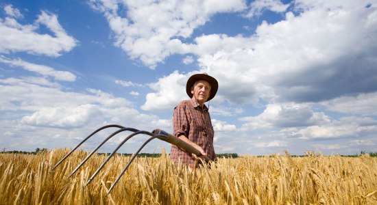 Bauer auf Weizenfeld, © Fotolia / Budimir Jevtic