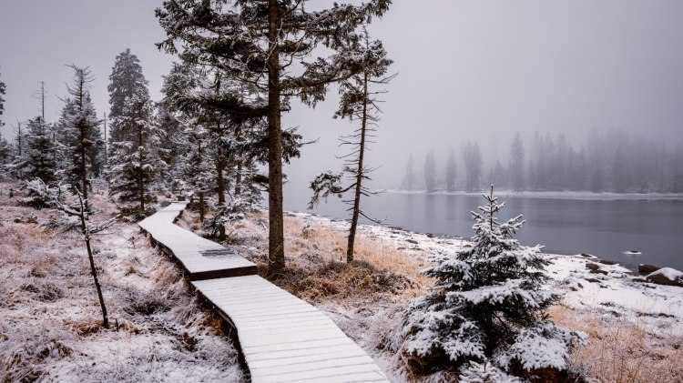 eingeschneiter Bohlenweg und See im Harz , © TMN/Markus Tiemann