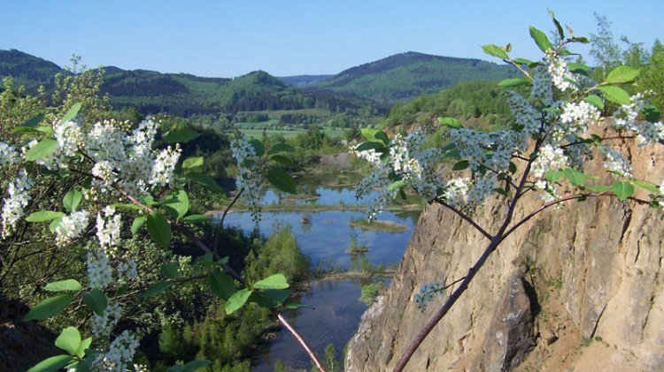 renaturierter Diabas-Steinbruch, © Tourist-Information Wolfshagen