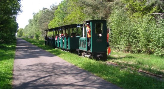 Grüne Moorbahn mit Menschen, © DümmerWeserLand Touristik