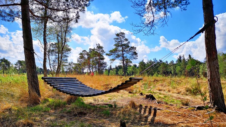 Lieblingsplatz am Nordpfad Börde Sittensen im Tister Bauernmoor, © TouROW