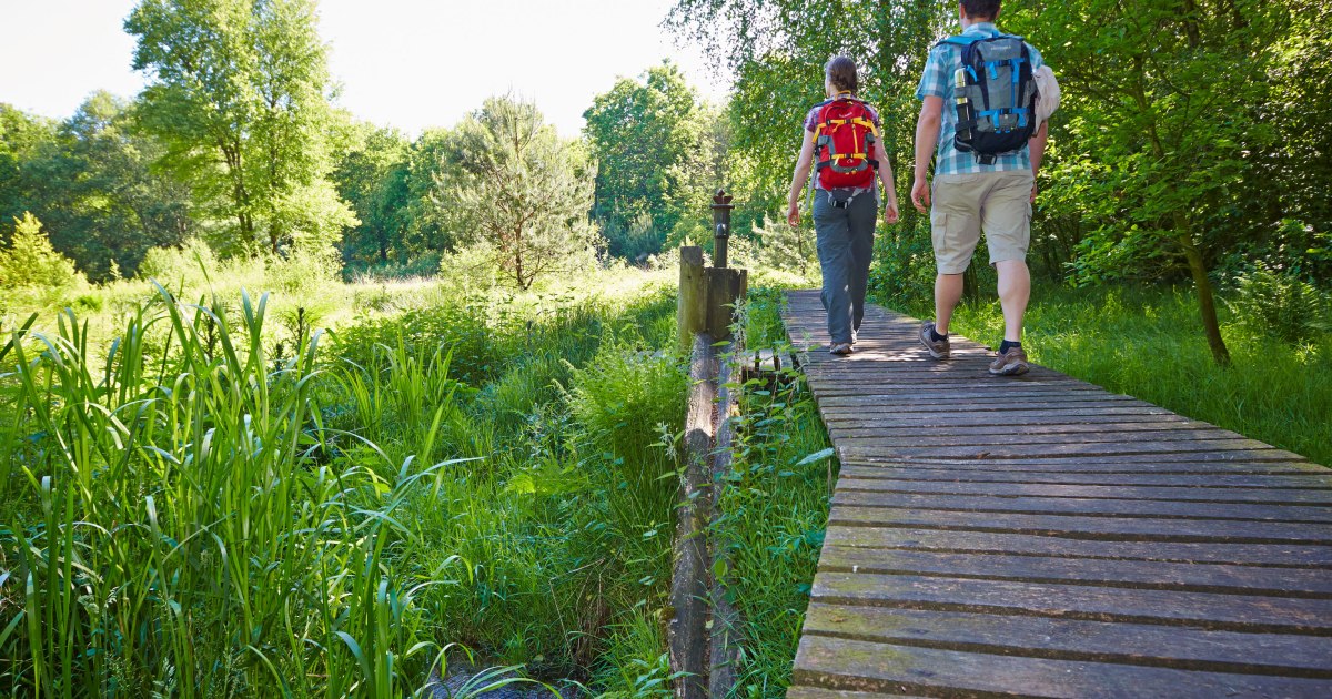 Tourspaß Zu Fuß: Wandertouren In Der Grafschaft Bentheim - Grafschaft ...