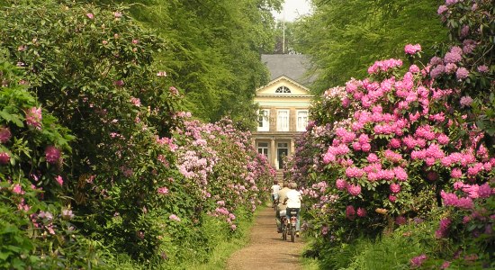 Das Schloss Hagenburg zwischen Büschen und blühenden Blumen., © Region Hannover / Florian Toffel