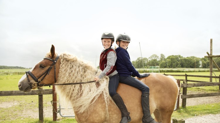 Zwei Kinder reiten auf einem Pferd, © Familotel Frieslandstern