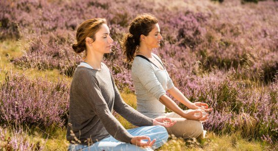 Zwei Frauen beim Yoga in der blühenden Lüneburger Heide, © Lüneburger Heide GmbH / Dominik Ketz