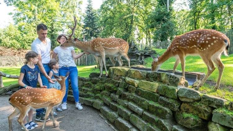 franz-frieling_f857473_dina5_2019-06-16_klein, © Tierpark Nordhorn gGmbH/ Franz Frieling