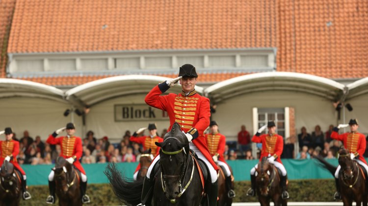 Reiter auf Pferd bei der Celler Hengstparade, © Landgestüt Celle