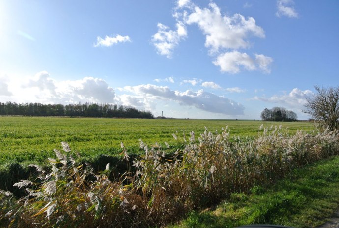 An der Knock in Uplewa, © Ostfriesland Tourismus GmbH / www.ostfriesland.de