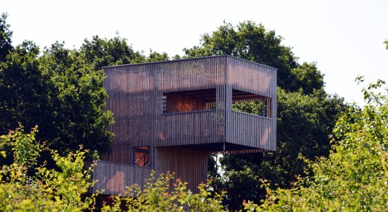 Baumkronenturm Bollenhagener Moorwald, © Rüdiger von Lemm / Rüdiger von Lemm