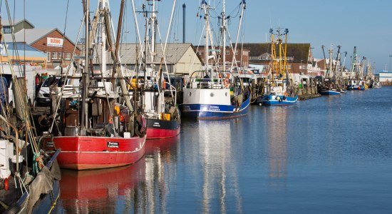 Fischkutter im Alten Fischereihafen Cuxhaven, © Nordseeheilbad Cuxhaven GmbH / Nordseeheilbad Cuxhaven GmbH