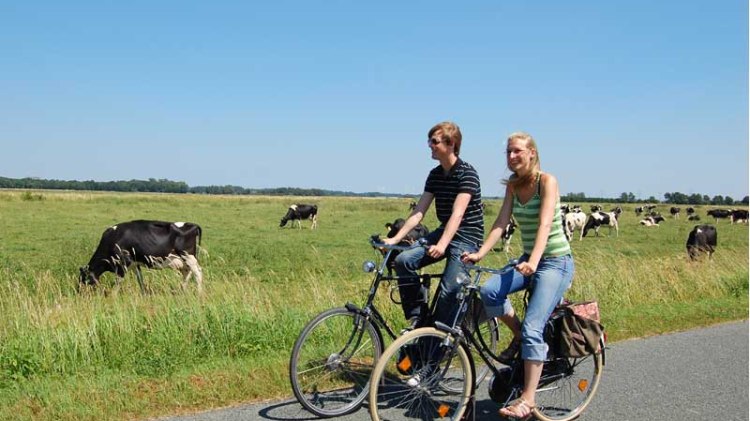 Fahrradfahrer, © Stadt Wittmund