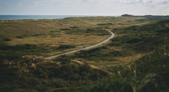 Fahrradweg inmitten weiter Dünenlandschaft auf Langeoog, © TMN/ Max Fischer 