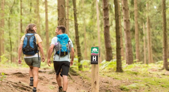 Wanderer auf Waldetappe des Heidschnuckenwegs, © Lüneburger Heide GmbH / Dominik Ketz