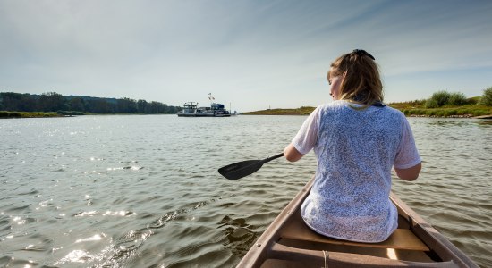Frau paddelt auf der Elbe, © Kurs Elbe / Markus Tiemann