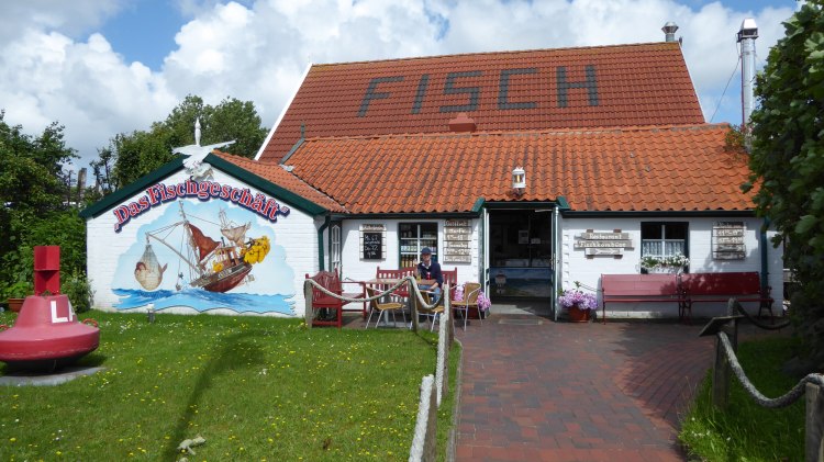 Fisch Klette auf Langeoog, © Fisch Klette