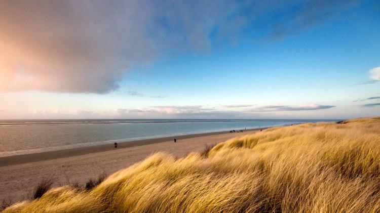 Der Strand von Langeoog., © Tourismus-Service Langeoog / Martin Foddanu