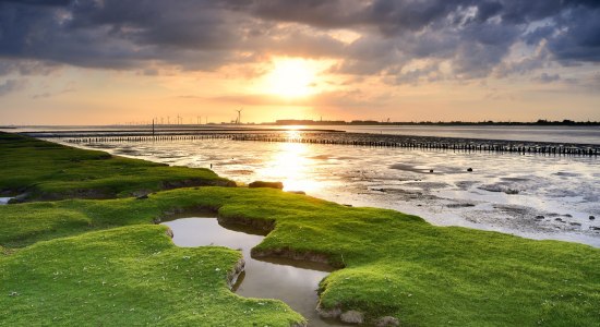 Niedersachsen, © Francesco Carovillano