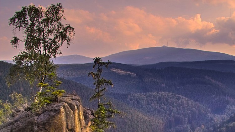 Blick von der Rabenklippe zum Brocken, © Nationalpark Harz/ Christian Wiesel