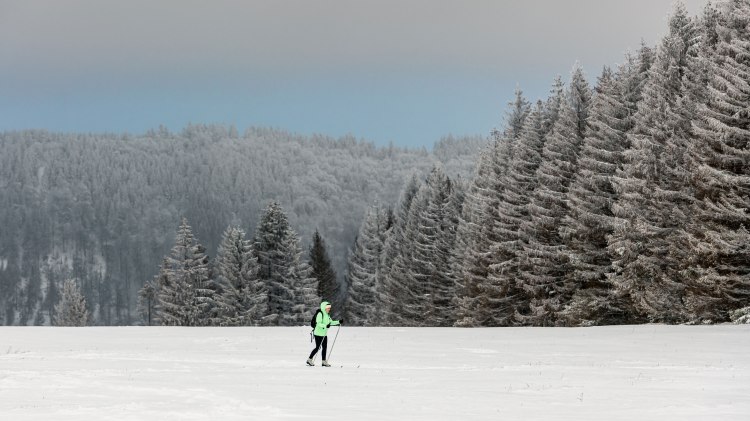 Langläufer fährt durch die Harzer Winterlandschaft, © Markus Tiemann