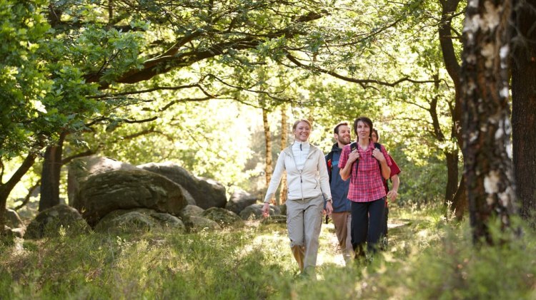 Wandern am Großsteingrab im Naturpark Moor-Veenland, Wandern auf Rezept, © Naturpark Moor-Veenland