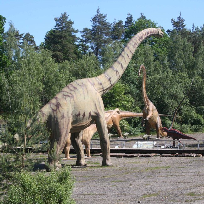 Dinosaurier Münchehagen, © Dinosaurier-Park Münchehagen GmbH & Co.KG