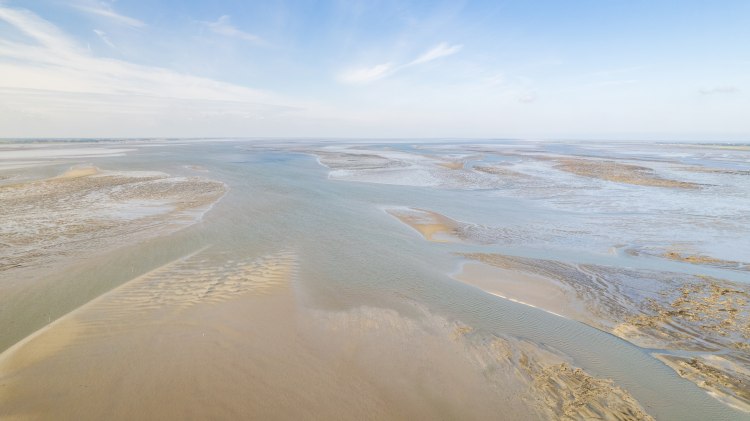 Nationalpark Niedersächsisches Wattenmeer, © TourismusMarketing Niedersachsen GmbH