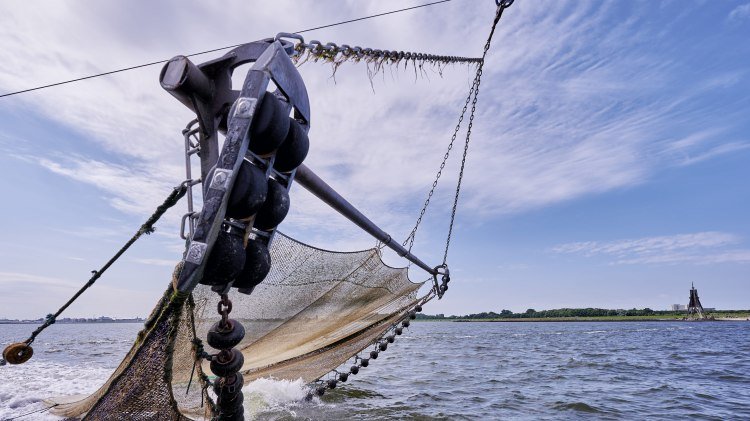 Auslaufender Krabbenkutter, Cuxhaven, © Cuxland Tourismus / Florian Trykowksi