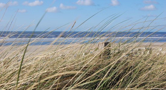 Düne und Strand auf Spiekeroog, © Ostfriesland Tourismus GmbH / www.ostfriesland.de