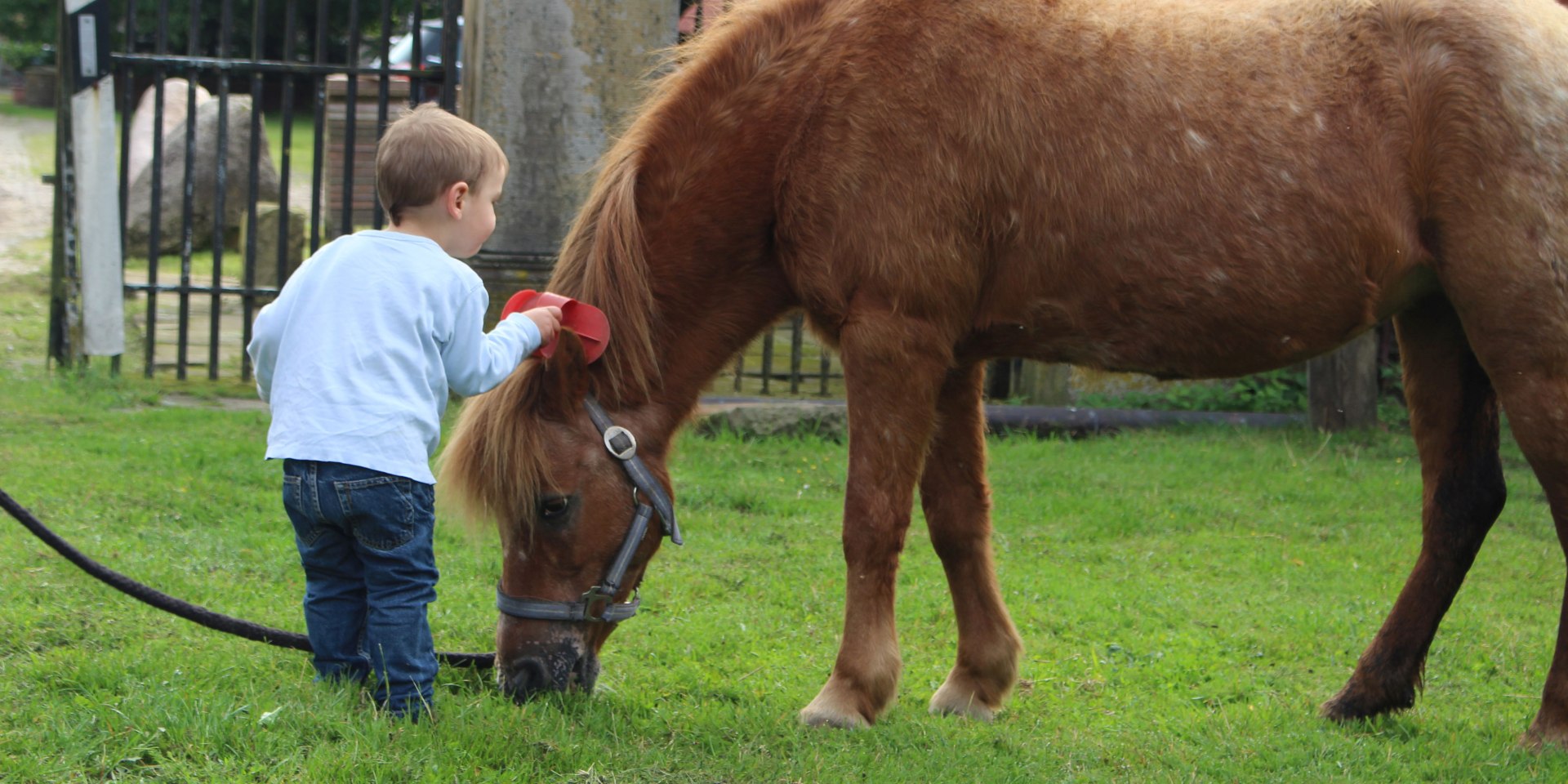 Kind mit Pony, © Schloss Eggermühlen