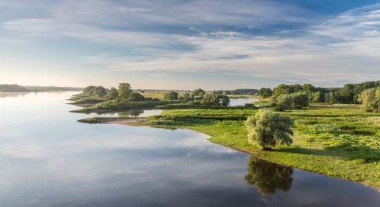 Blick auf die ruhige Elbe bei Morgenstimmung, © TourismusMarketing Niedersachsen GmbH / Dieter Damschen