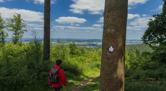 Natur- und Geopark TERRA.vita, © Natur- und Geopark TERRA.vita