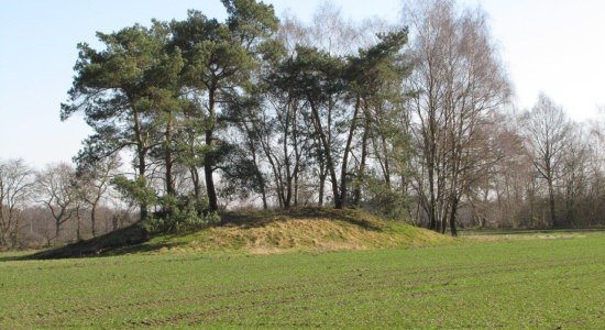 Grabhügel Ober Ochtenhausen, © Touristikverband Landkreis Rotenburg (Wümme)  e.V. / Udo Fischer