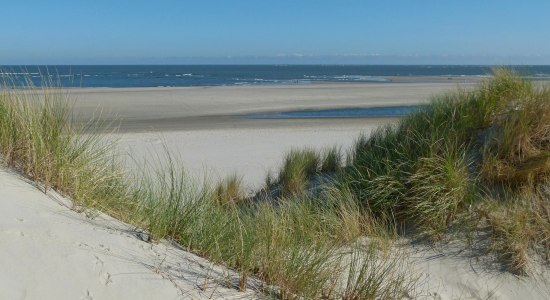 Dünenlandschaft auf Baltrum, © Ostfriesland Tourismus GmbH / www.ostfriesland.de