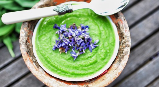 Kochen mit Wildkräutern, © Marion Putensen