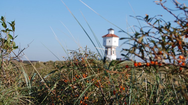 Wasserturm Sanddorn auf Langeoog, © Ostfriesland Tourismus GmbH / www.ostfriesland.de