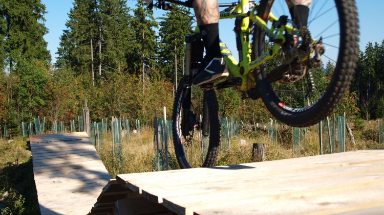 Fahrer auf einer Holzrampe im Bikepark St. Andreasberg, © www.msb-x-trail.de