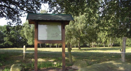 Das Foto einer Schautafel welche die Düsselburg erklärt, © Stadt Rehburg-Loccum / Judith Weber